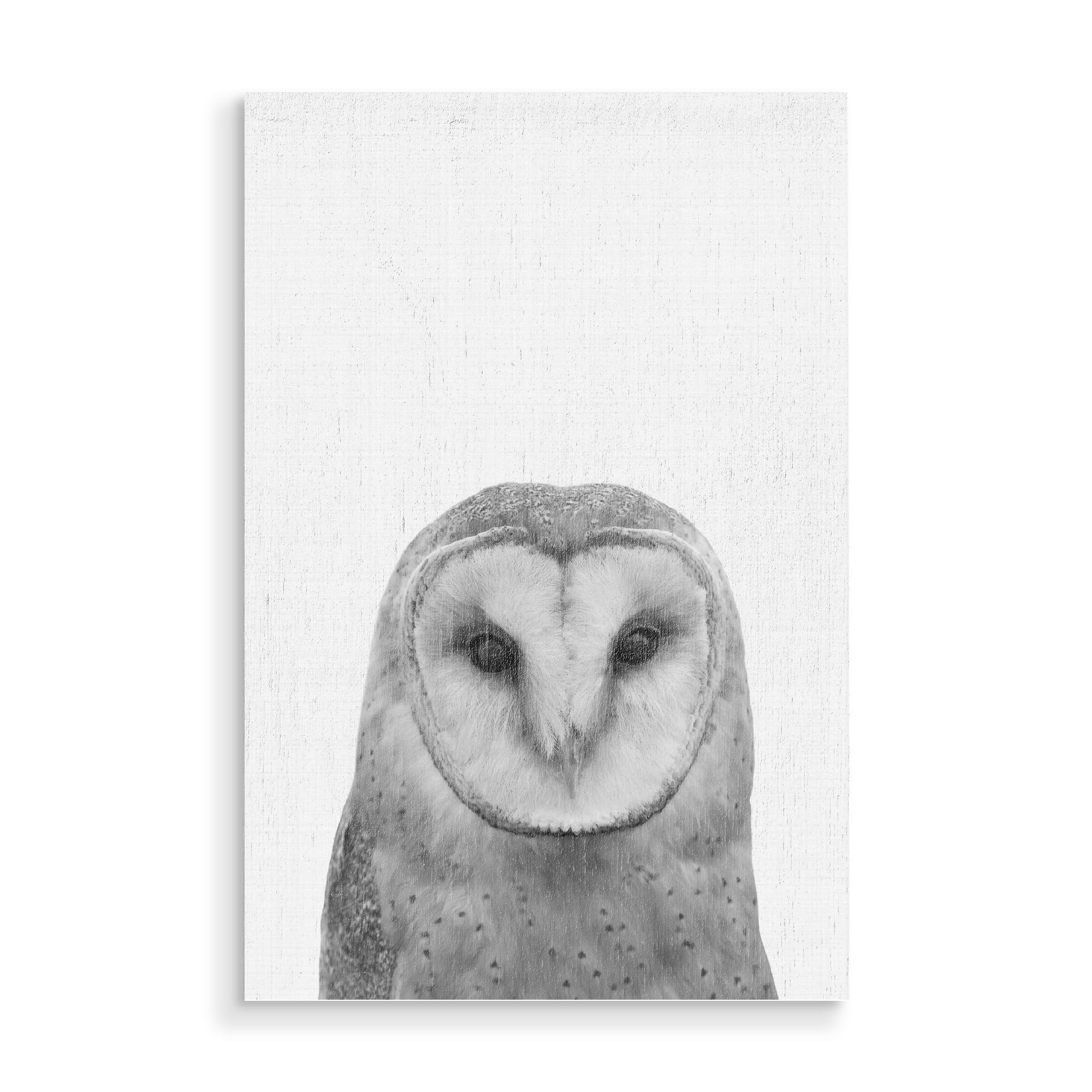 Holzbild "Owl II" artboxONE - Für Kinder,Tiere,Schwarzweiß