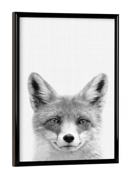Poster mit schwarzem Rahmen "Fox Portrait" artboxONE - Für Kinder,Tiere,Schwarzweiß - Fox,Fuchs,Portrait