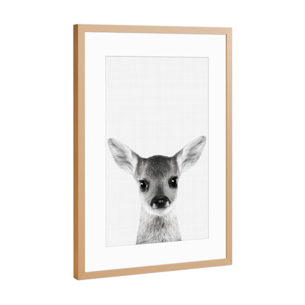 Poster mit Rahmen Kupfer "Deer (Fawn) Portrait" artboxONE - Für Kinder,Tiere,Schwarzweiß