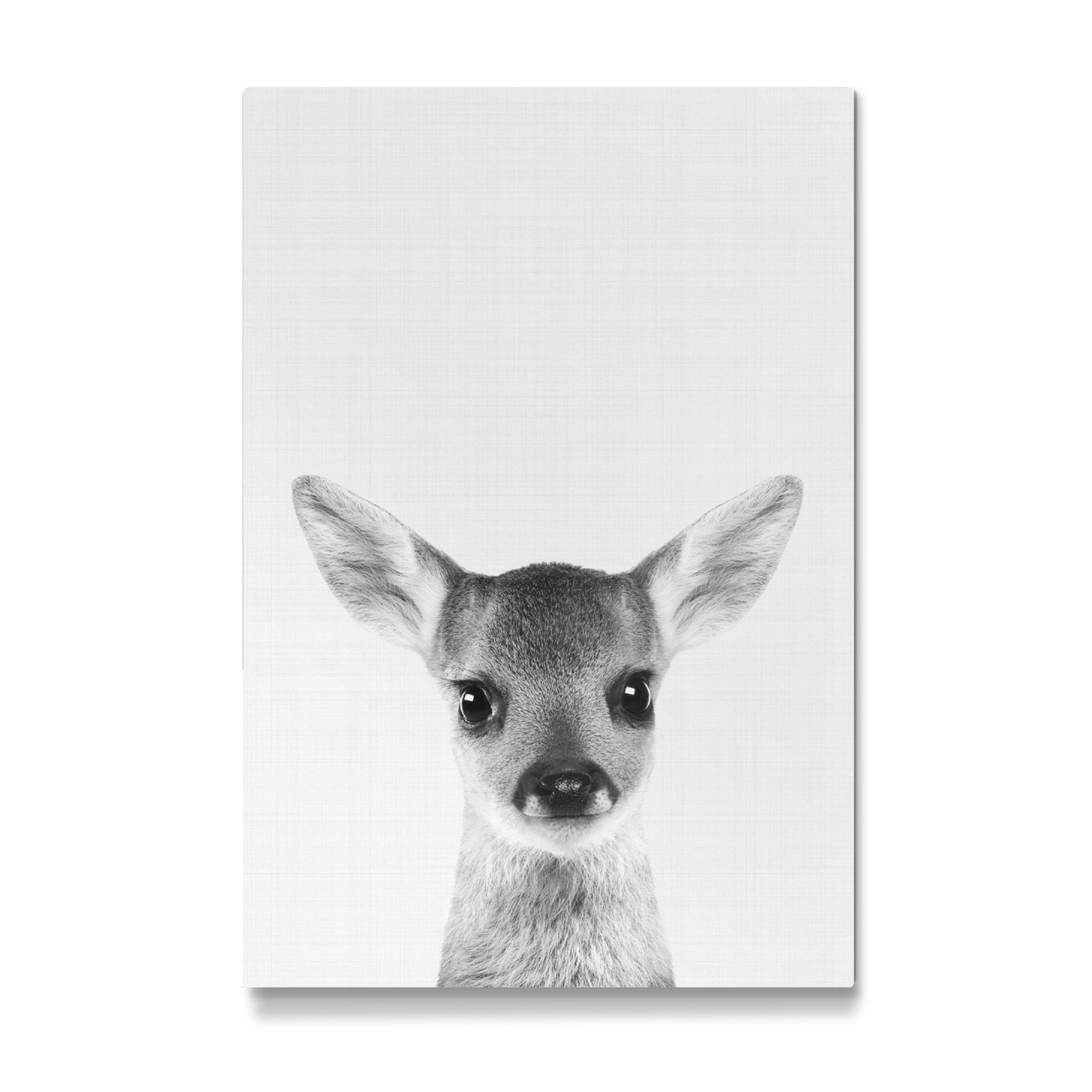 Galerie-Print "Deer (Fawn) Portrait" 30x20 cm artboxONE