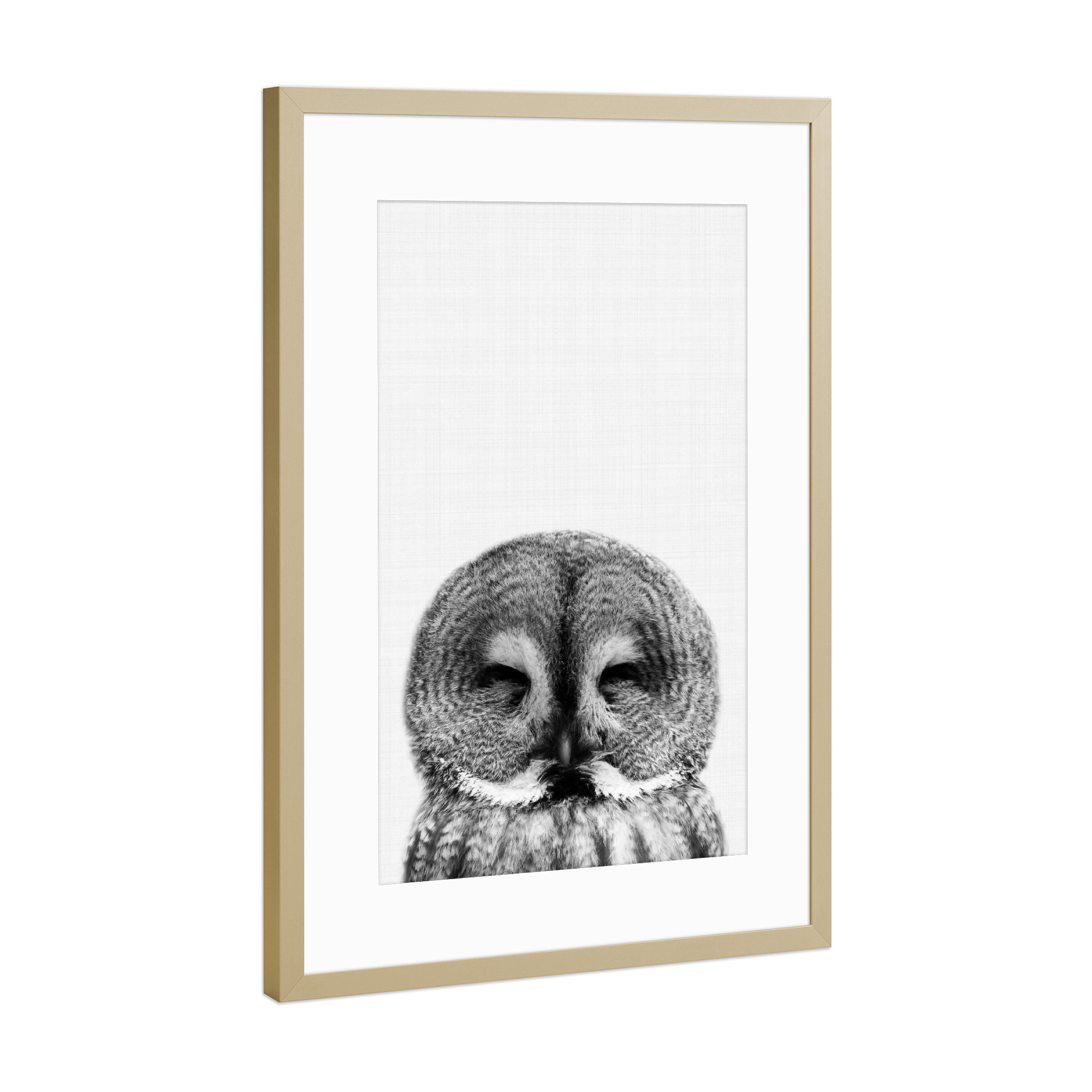 Poster mit Rahmen Gold "Owl bw" artboxONE - Für Kinder,Tiere,Schwarzweiß