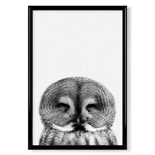 Owl bw