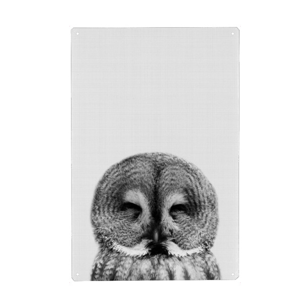 Holzbild "Owl bw" artboxONE - Für Kinder,Tiere,Schwarzweiß