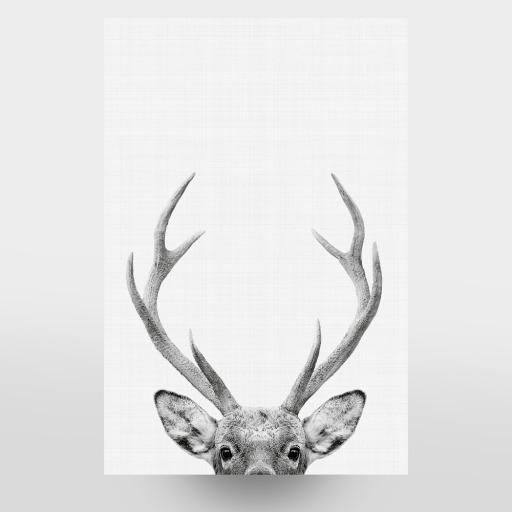 Deer Portrait