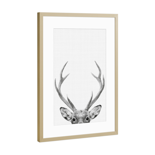 Poster mit Rahmen Gold "Deer Portrait" artboxONE - Für Kinder,Tiere,Schwarzweiß