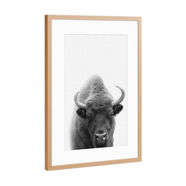 Poster mit Rahmen Kupfer "Bison Portrait" artboxONE - Für Kinder,Tiere,Schwarzweiß