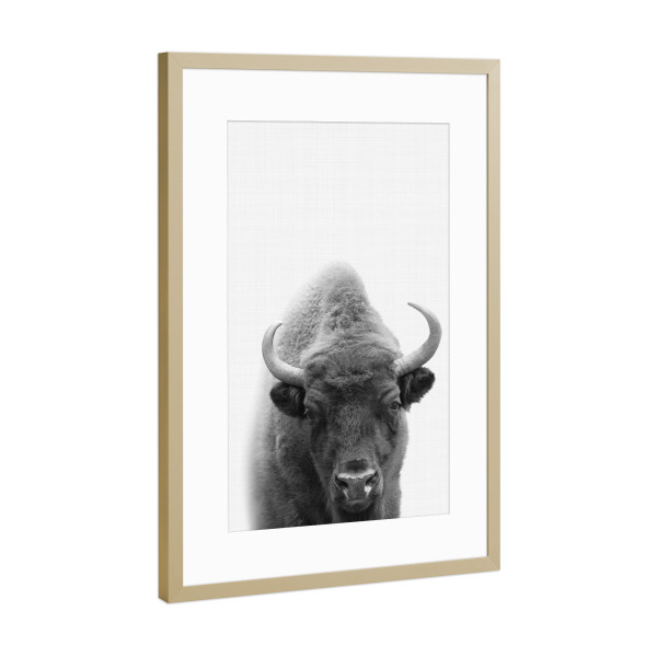 Poster mit Rahmen Gold "Bison Portrait" artboxONE - Für Kinder,Tiere,Schwarzweiß