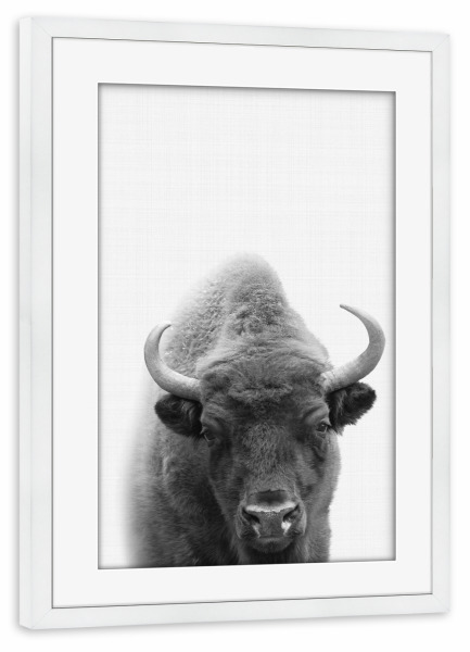 Poster mit Rahmen weiß "Bison Portrait" artboxONE - Für Kinder,Tiere,Schwarzweiß