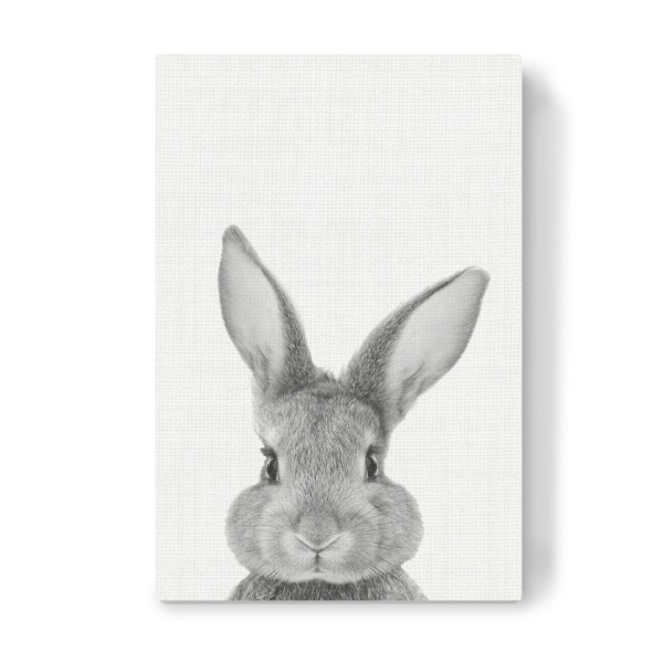 Leinwandbild "Bunny (Rabbit) Portrait" artboxONE - Für Kinder,Tiere,Schwarzweiß - Hase,Kaninchen,Tier,Animal,Schwarzweiß,Cute,Süß,Kinder,Nursery