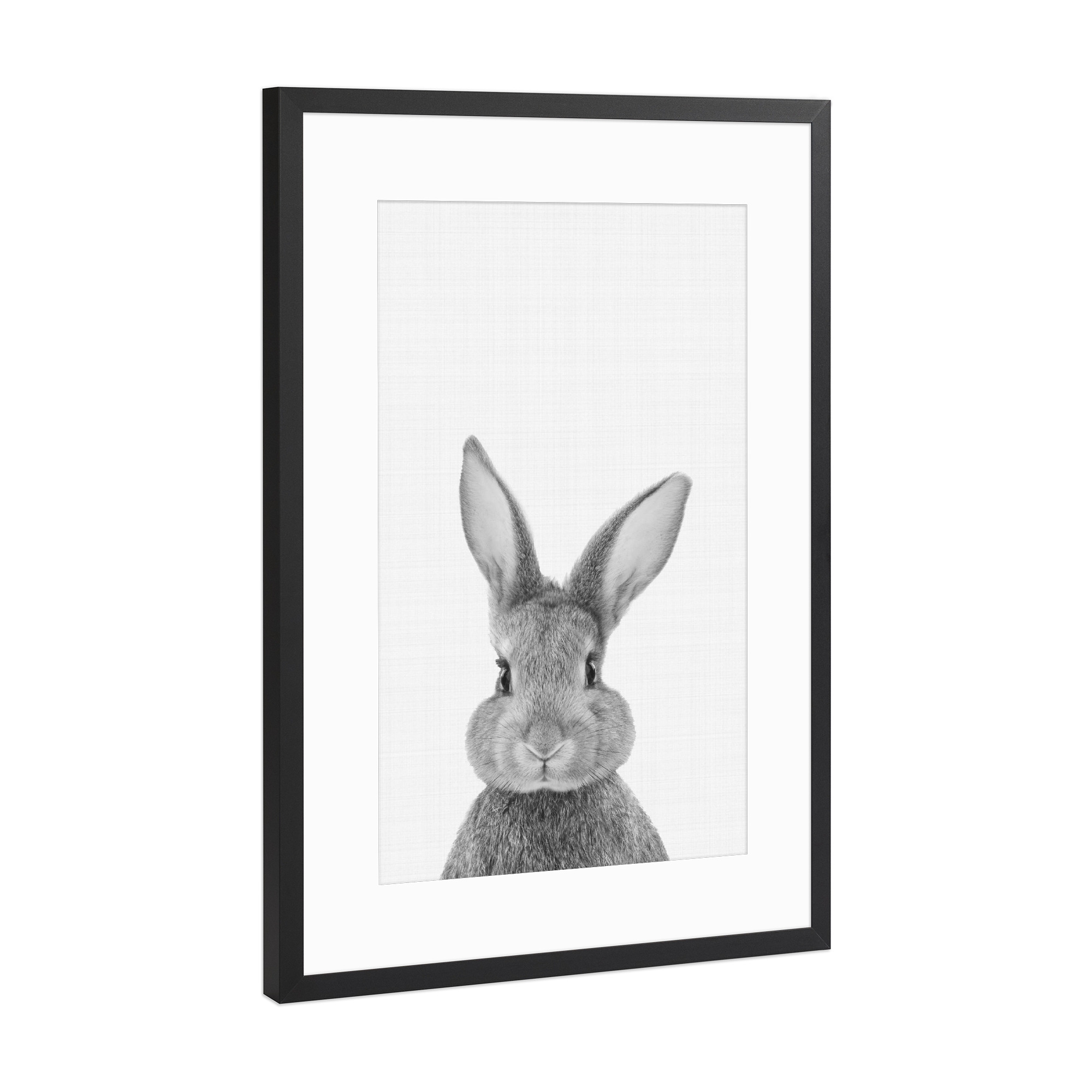 Poster mit Rahmen Schwarz (Metallic) "Bunny (Rabbit) Portrait" artboxONE - Für Kinder,Tiere,Schwarzweiß