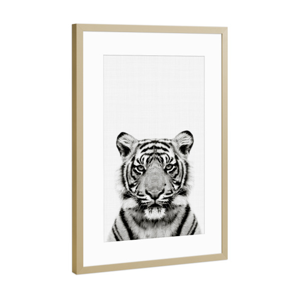 Poster mit Rahmen Gold "Tiger Portrait BW" artboxONE - Für Kinder,Tiere,Schwarzweiß