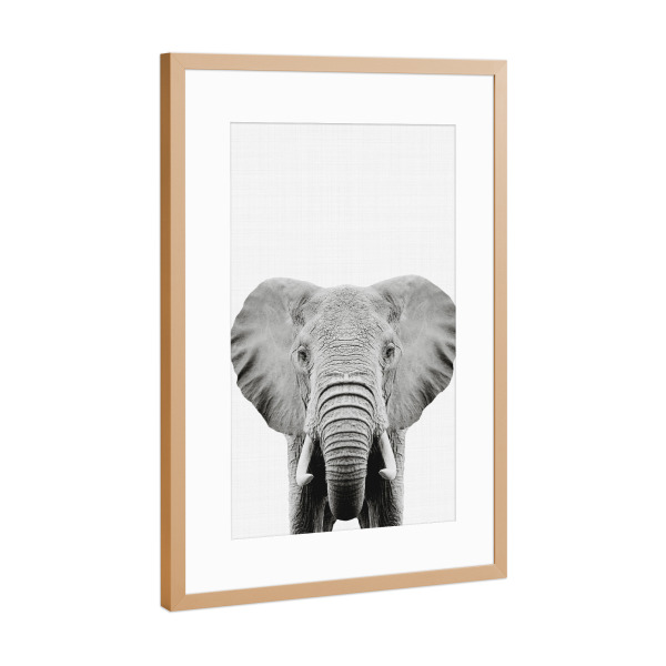 Poster mit Rahmen Kupfer "Elephant-Portrait" artboxONE - Für Kinder,Tiere,Schwarzweiß - Elefant,Portrait,Tier,Kinder,Nursery