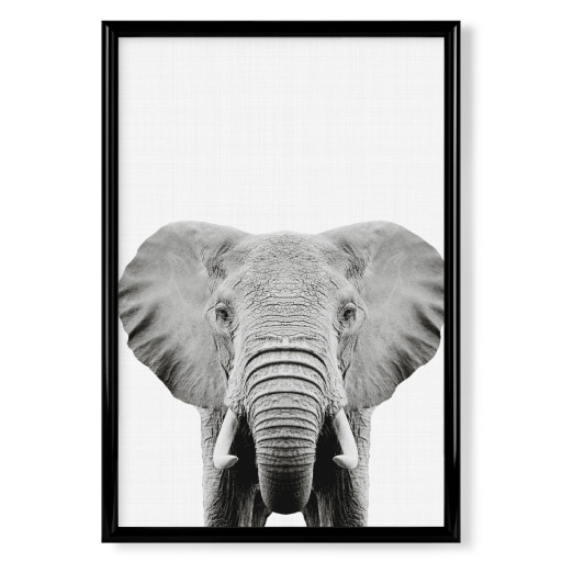 Elephant-Portrait