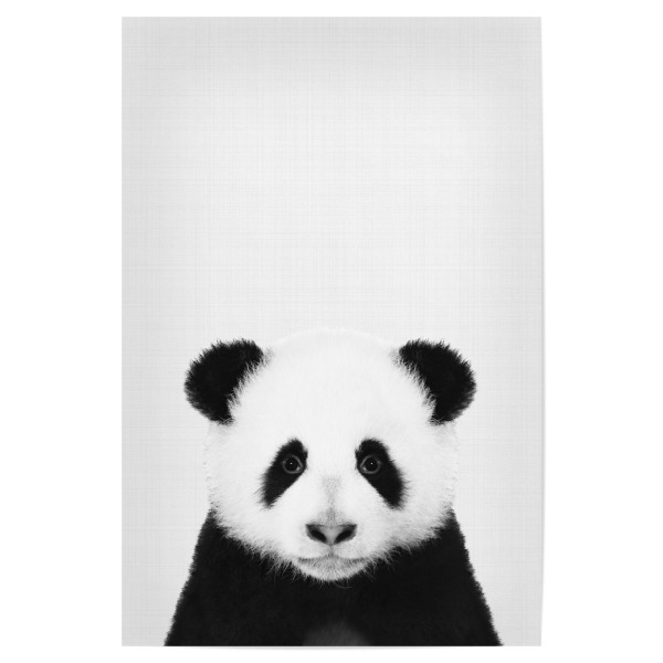 Poster "Panda Portrait" artboxONE - Für Kinder,Tiere,Schwarzweiß - Panda,Tier,Portrait