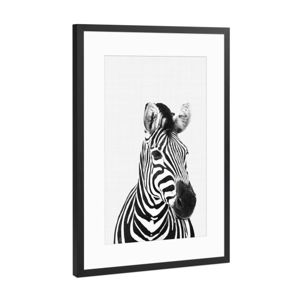 Poster mit Rahmen Schwarz (Metallic) "Zebra Portrait" artboxONE - Für Kinder,Tiere,Schwarzweiß
