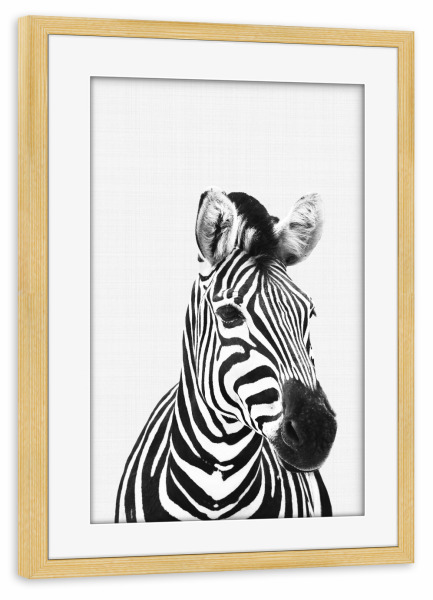 Poster mit Rahmen kiefer "Zebra Portrait" artboxONE - Für Kinder,Tiere,Schwarzweiß