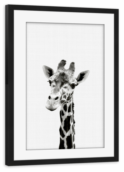 Poster mit Rahmen schwarz "Giraffe Portrait 2" artboxONE - Für Kinder,Tiere,Schwarzweiß