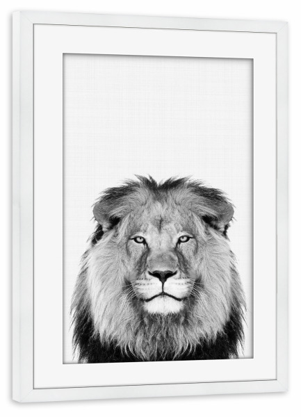 Poster mit Rahmen weiß "Lion Portrait b/w" artboxONE - Für Kinder,Tiere,Schwarzweiß,Für Papa