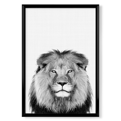 Lion Portrait b/w