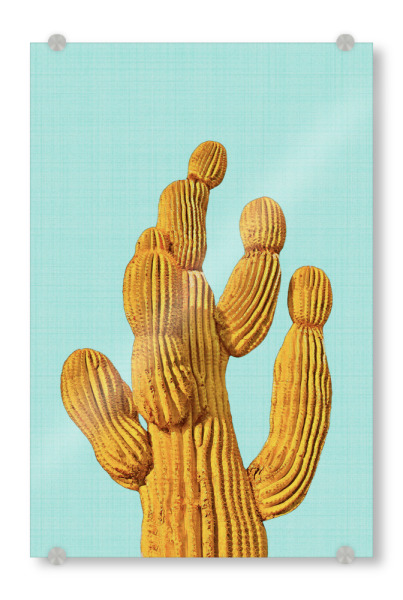 Acrylglasbild "Yellow Cactus" artboxONE - Natur,Floral,Festivals - Cactus,Cacti,Cactus art,Cactus print,Succulent,Kaktus,Kakteen,Pflanzen,Wüste