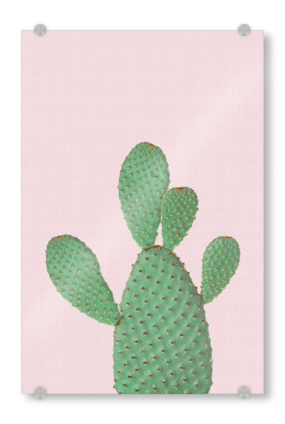 Acrylglasbild "Cactus Pink II" artboxONE - Natur,Floral,Festivals - Cactus,Cacti,Cactus art,Cactus print,Succulent,Kaktus,Kakteen,Pflanze,Wüste