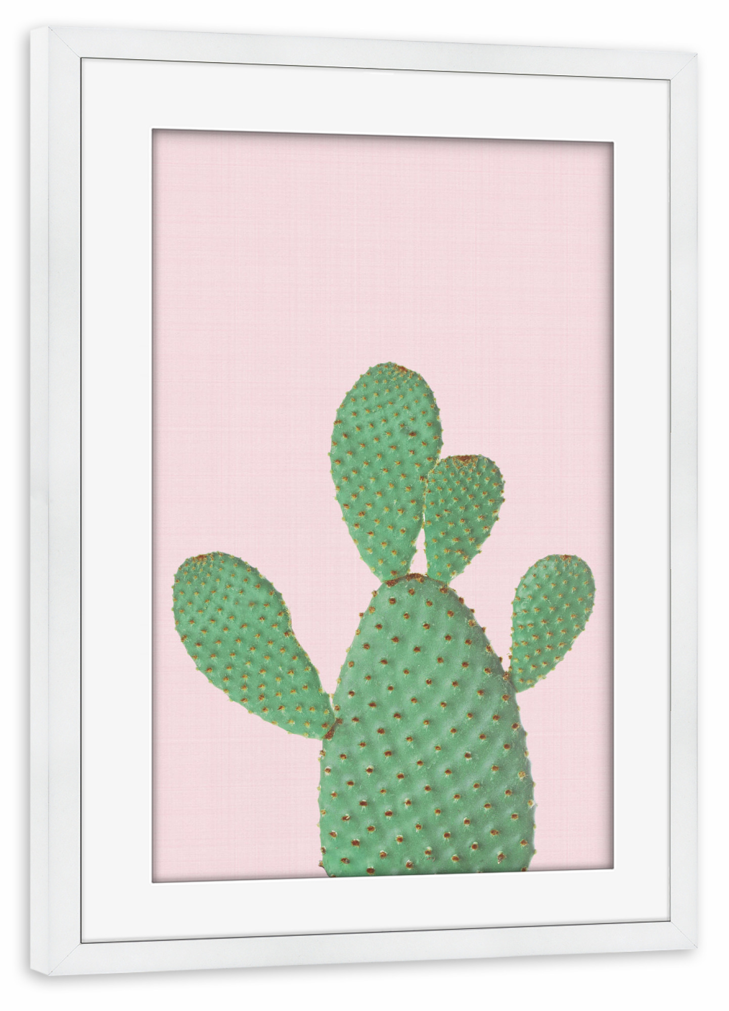 Poster mit Rahmen weiß "Cactus Pink II" artboxONE - Natur,Floral,Festivals