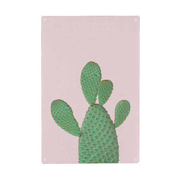 Metall Poster "Cactus Pink II" artboxONE - Natur,Floral,Festivals - Cactus,Cacti,Cactus art,Cactus print,Succulent,Kaktus,Kakteen,Pflanze,Wüste