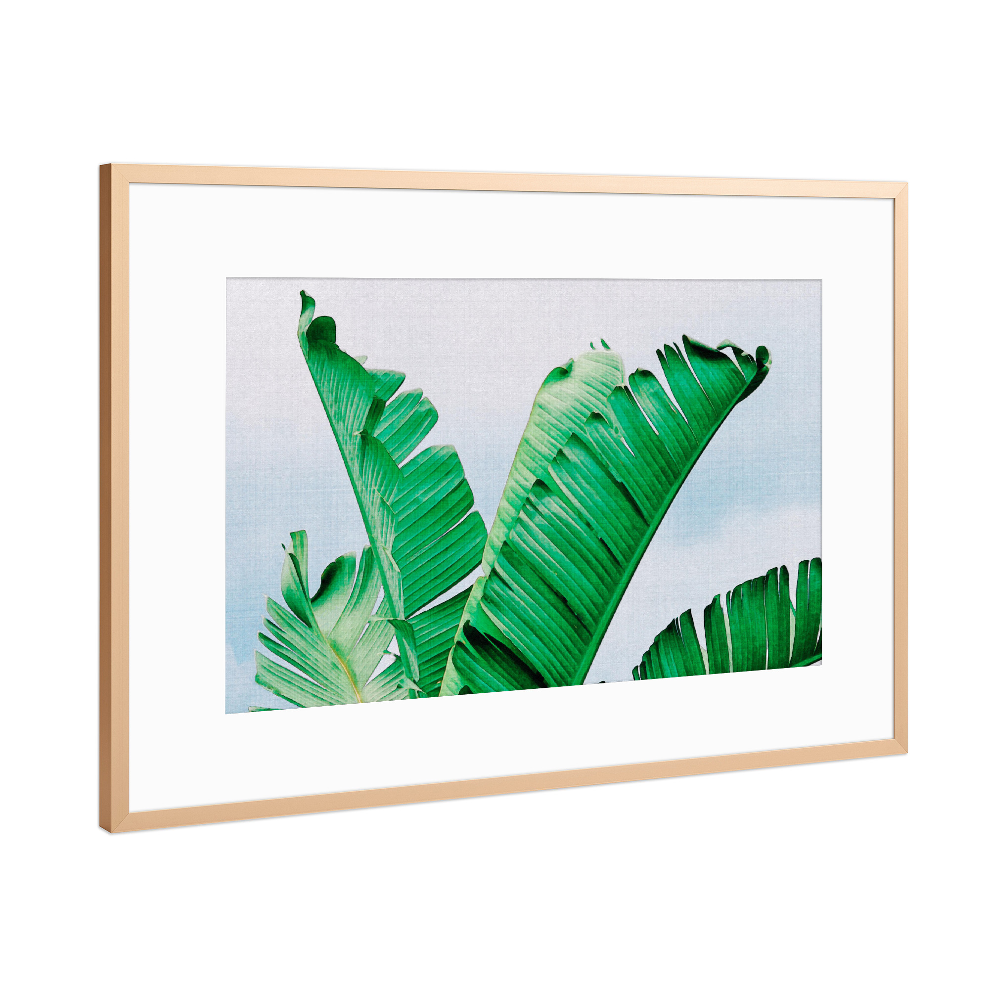 Poster mit Rahmen Kupfer "Banana Leaves" artboxONE - Natur,Reise,Floral