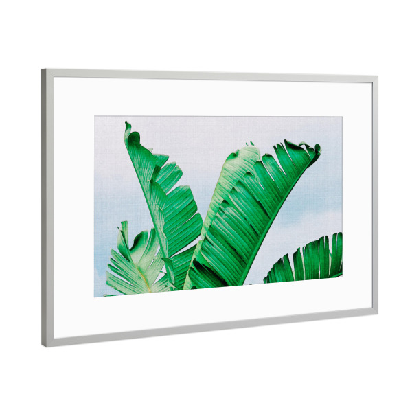 Poster mit Rahmen Silber "Banana Leaves" artboxONE - Natur,Reise,Floral