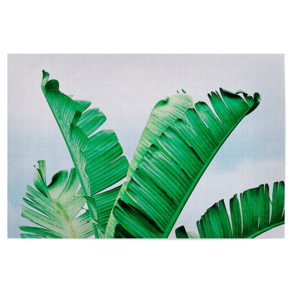 Poster 30x20 cm "Banana Leaves" artboxONE - Natur,Reise,Floral