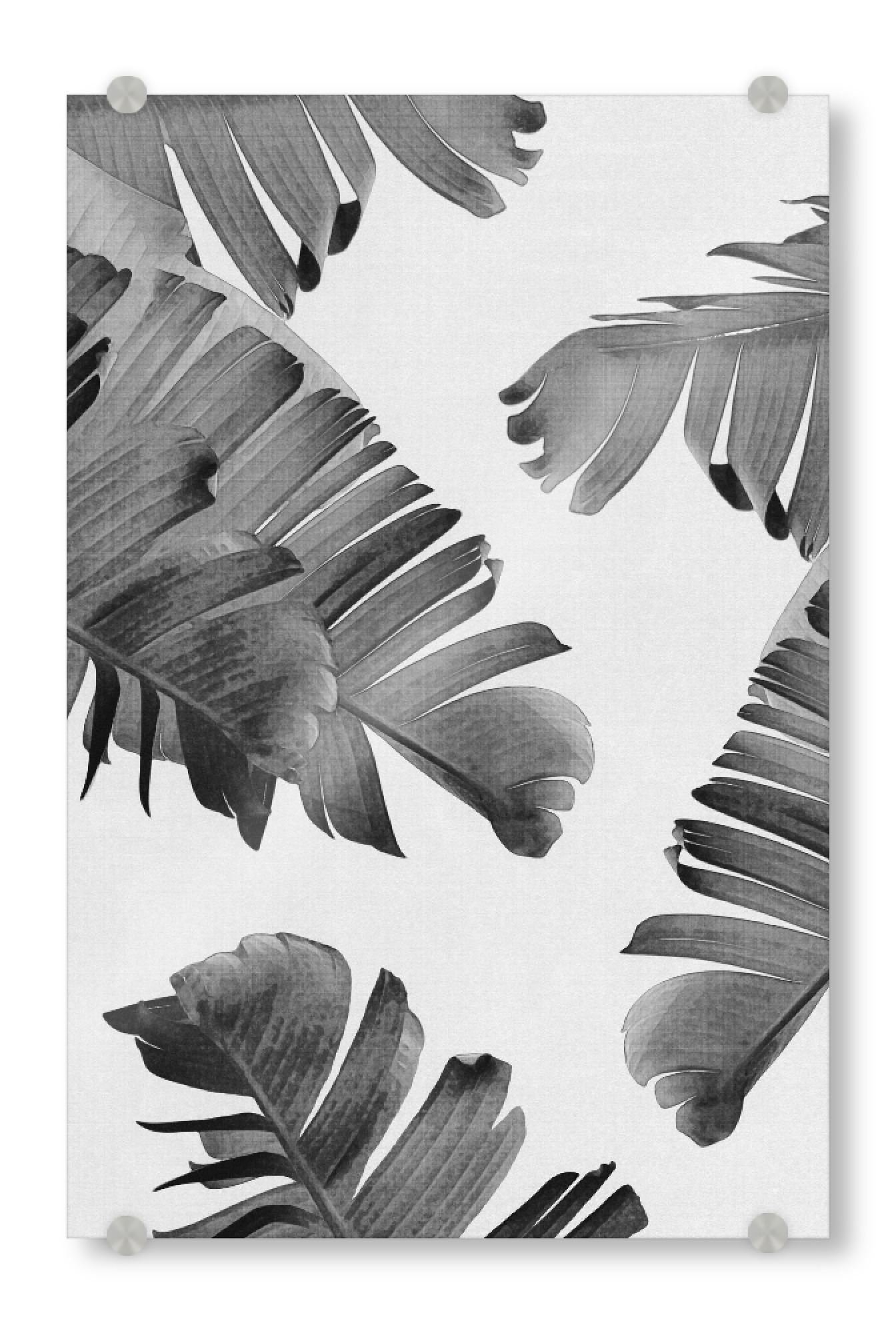 Acrylglasbild "Monochrome Palm Leaves" artboxONE - Natur,Floral,Schwarzweiß,Für Mama