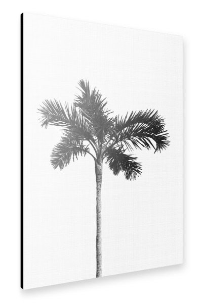 Alu-Dibond "Palm Tree" 30x20 cm artboxONE