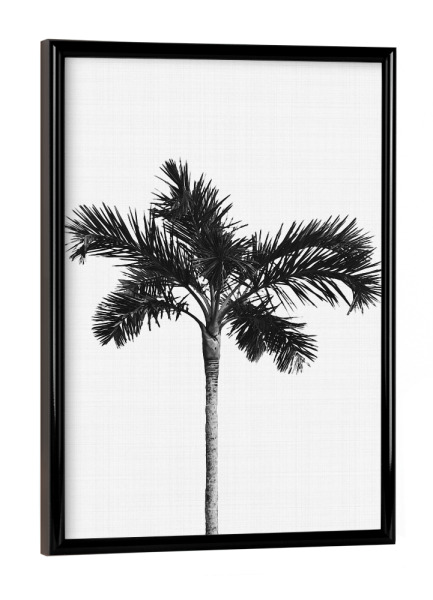 Poster mit schwarzem Rahmen "Palm Tree" artboxONE - Natur,Floral,Schwarzweiß,Für Mama,Festivals