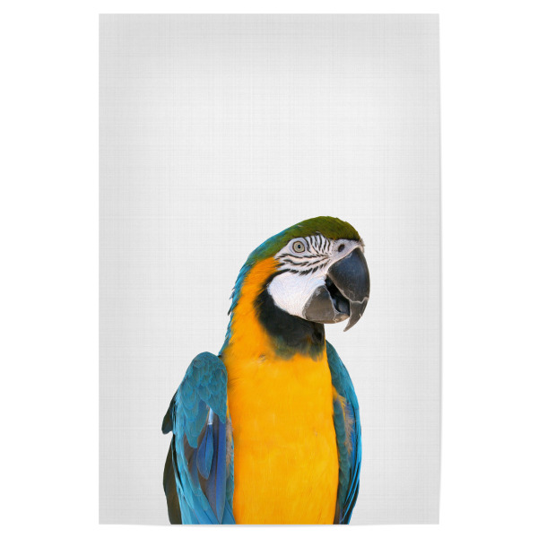 Poster "Macaw Parrot" artboxONE - Für Kinder,Tiere - Macaw,Parrot,Tropical art,Tropical wall art,Papagei,Tropisch,Vogel,Fliegen,Flügel