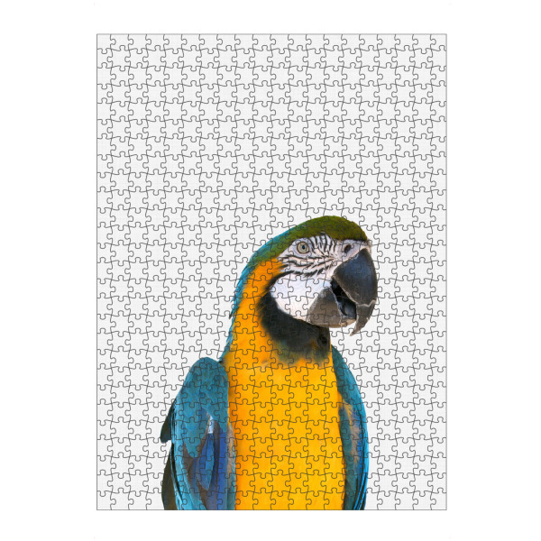 Puzzle Ravensburger "Macaw Parrot" artboxONE - Für Kinder,Tiere - Macaw,Parrot,Tropical art,Tropical wall art,Papagei,Tropisch,Vogel,Fliegen,Flügel