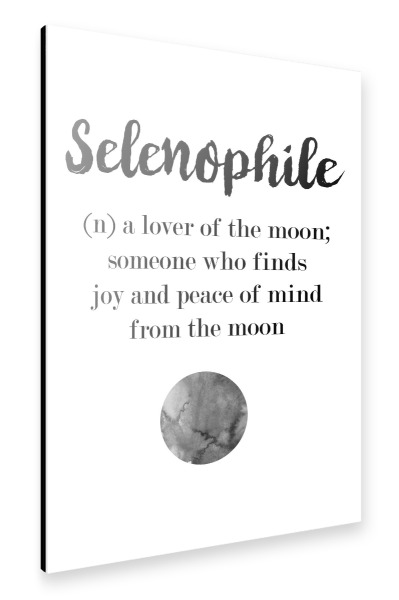 Alu-Dibond "Selenophile" 30x20 cm artboxONE