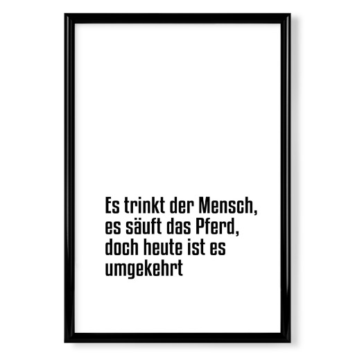 Mensch und Pferd