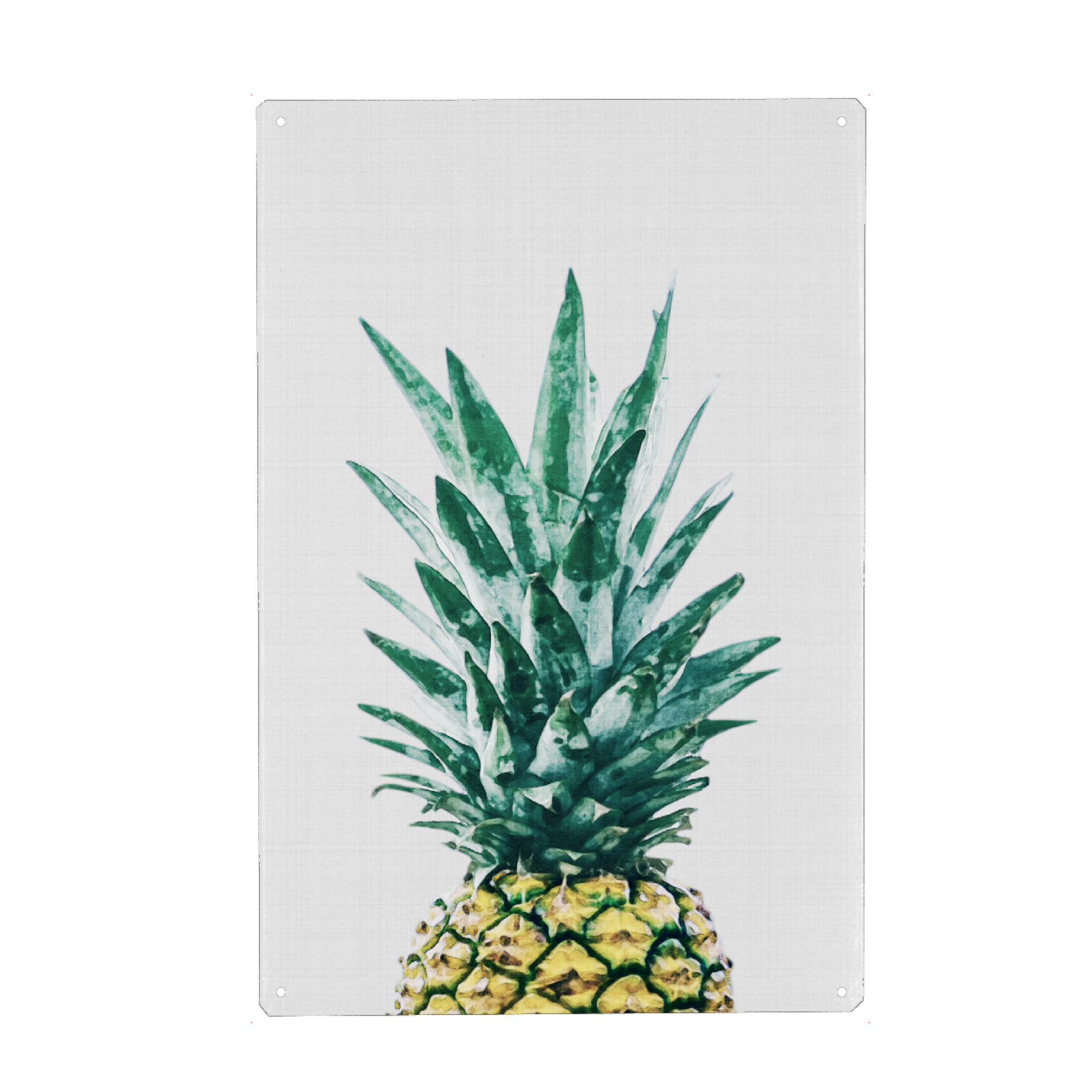 Metall Poster "Pineapple 2" artboxONE - Natur,Essen & Trinken,Für Mama,Essen & Trinken / Obst & Gemüse