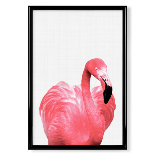 Pink Flamingo