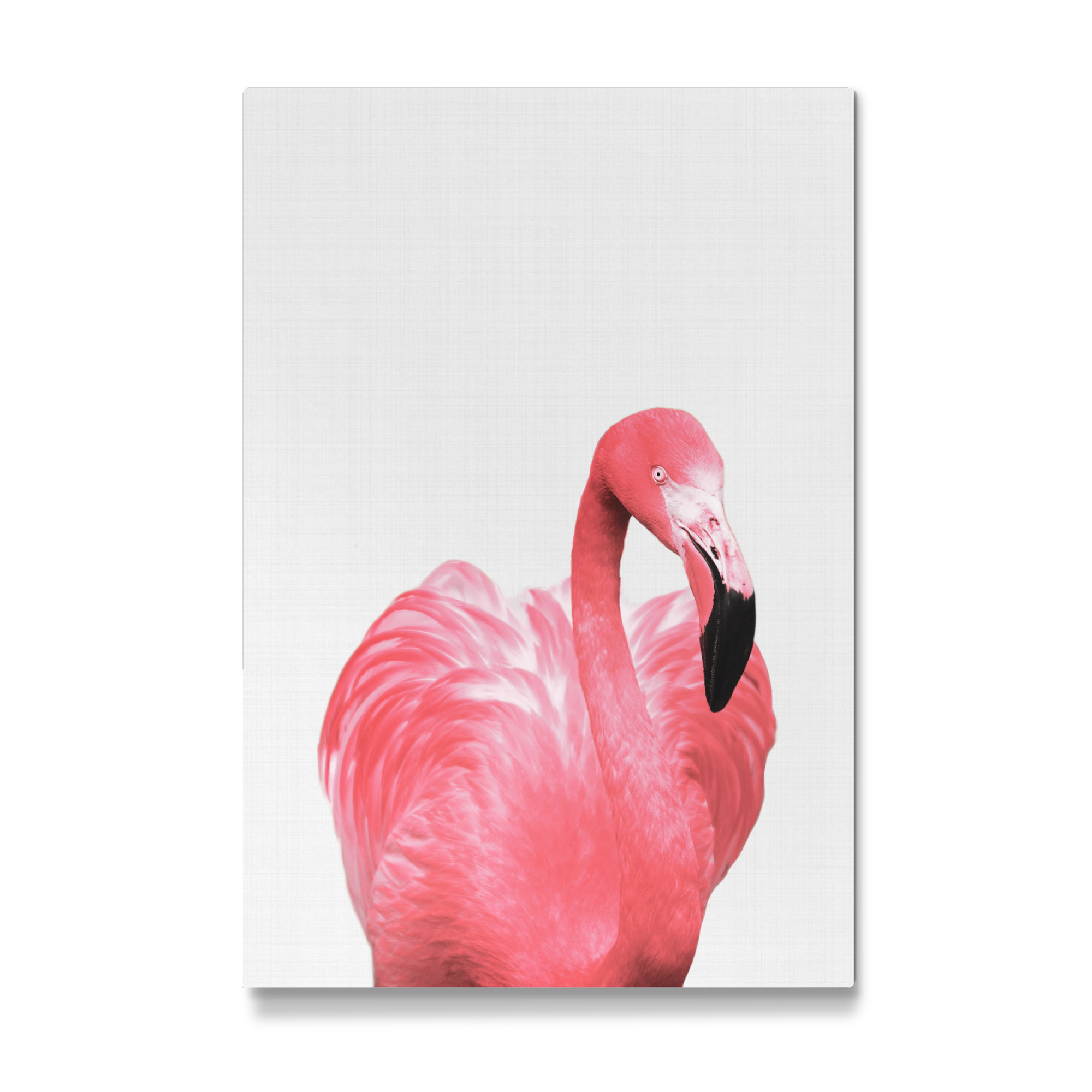 Galerie-Print "Pink Flamingo" 75x50 cm artboxONE