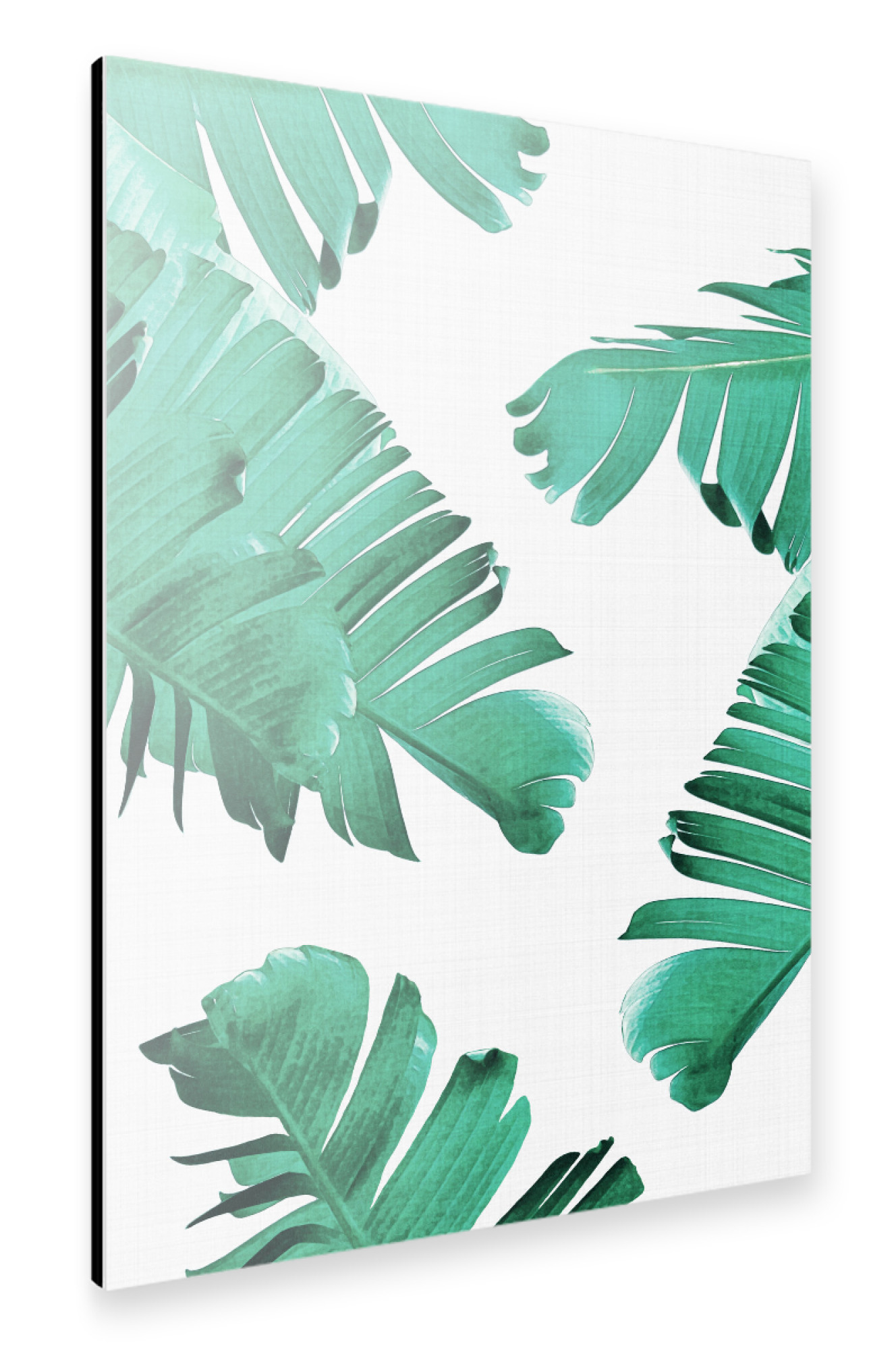 Alu-Dibond "Palm Leaves 4" 75x50 cm artboxONE