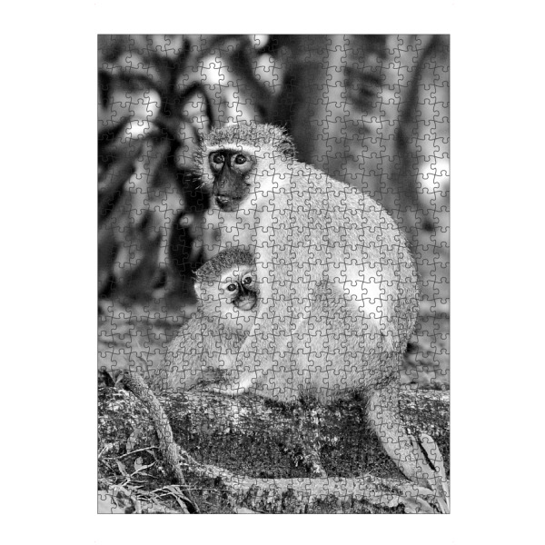artboxONE Puzzle "Mutter und Baby Vevet Monkey sw 728" artboxONE - Natur,Tiere,Schwarzweiß,Reise / Afrika