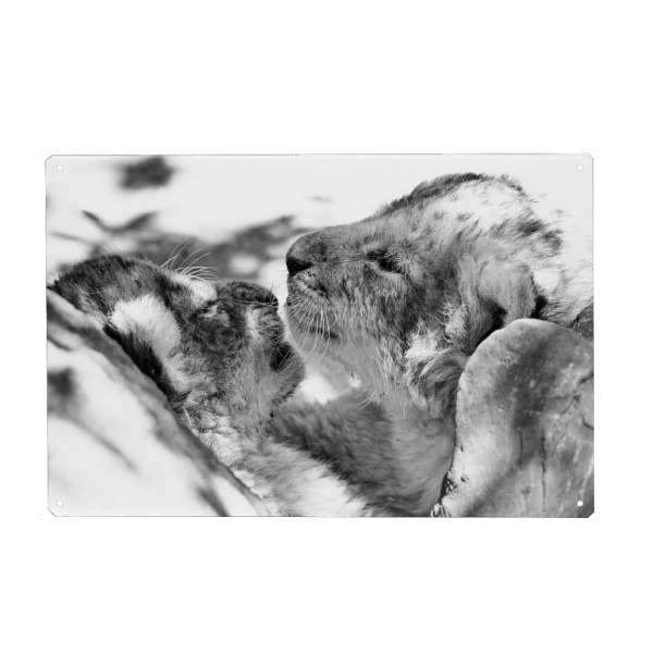 Holzbild "Big Friends sw 70995" artboxONE - Natur,Tiere,Schwarzweiß,Reise / Afrika