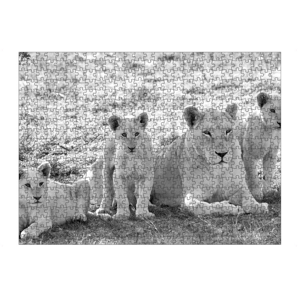 artboxONE Puzzle "Löwen Mutter mit Kleinen sw 275" artboxONE - Natur,Tiere,Schwarzweiß,Reise / Afrika