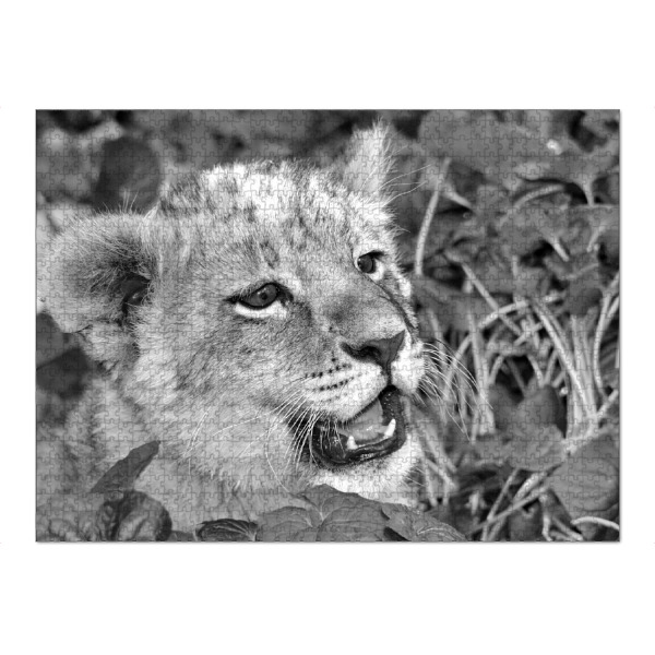 Puzzle Ravensburger "Löwen Baby Portrait sw A 0811119" artboxONE - Natur,Tiere,Schwarzweiß,Reise / Afrika