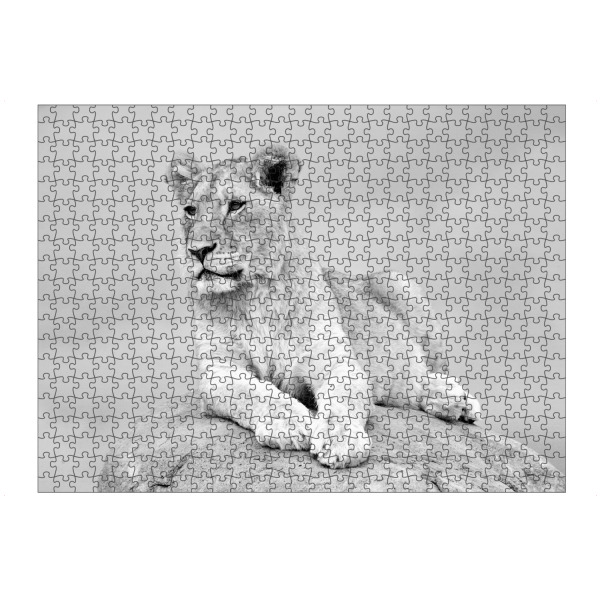 Puzzle Ravensburger "Lion on the Rock sw 2330" artboxONE - Natur,Tiere,Schwarzweiß,Reise / Afrika
