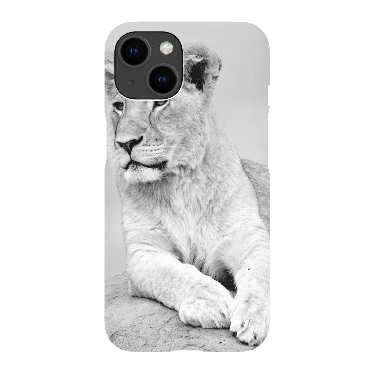 iPhone "Lion on the Rock sw 2330" Premium-Case Handyhülle artboxONE