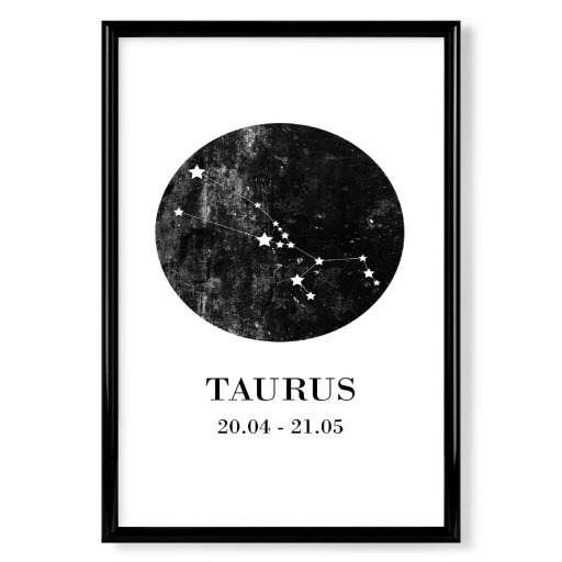 Taurus 3