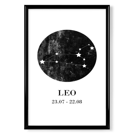 Leo 3