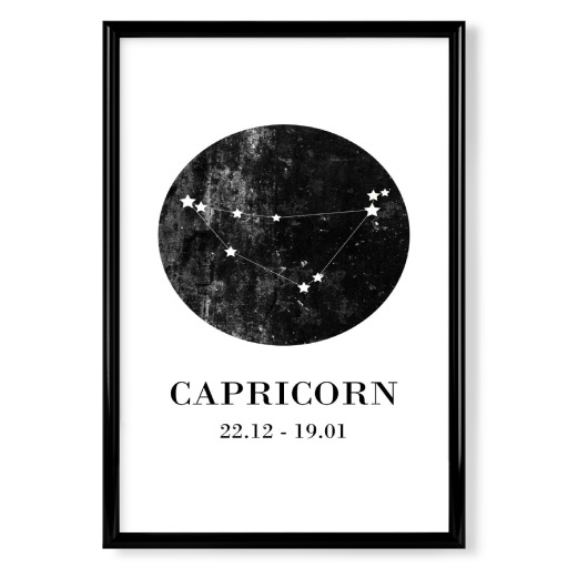 Capricorn 3